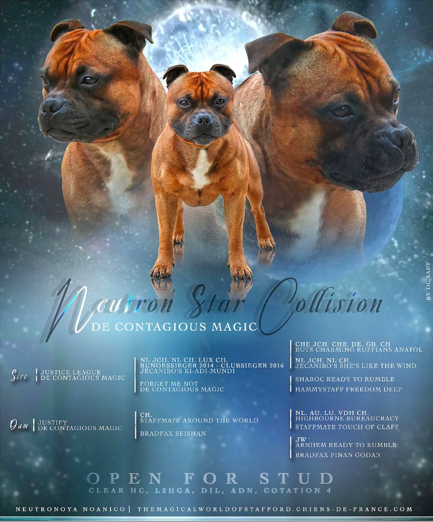 CH. Neutron star collision De Contagious Magic